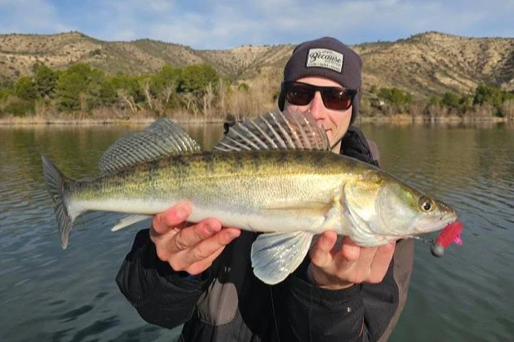 reel clamp for shimano tranx Duran's DFP Clamps Mini Super Black Trigger Sold Separately Perfect SAPG::827M Okuma Celilo Trout Combo Color:#1-1pcs